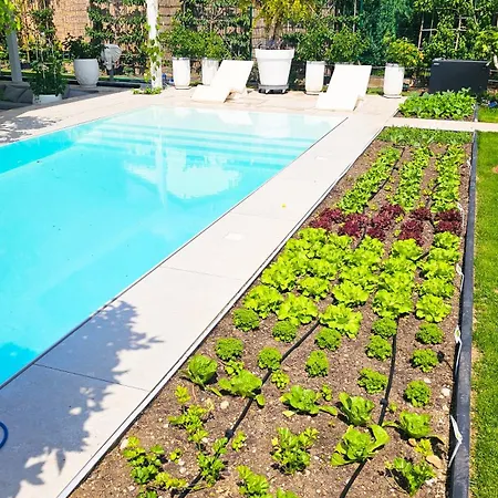 Luxurious Large With Pool, Garden, Koi Pond Only 12 Min To Octoberfest *