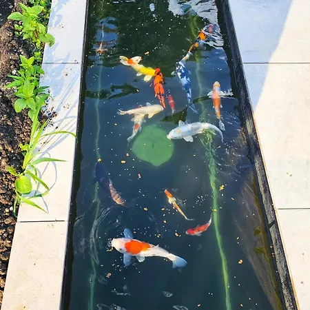 Lejlighed Luxurious Large With Pool, Garden, Koi Pond Only 12 Min To Octoberfest
